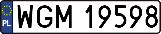 WGM19598