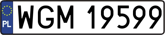 WGM19599