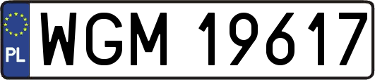 WGM19617