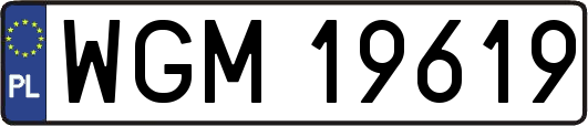 WGM19619