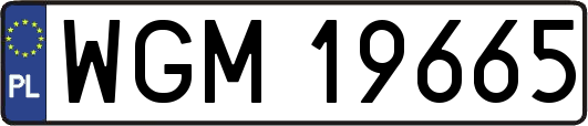 WGM19665