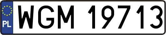 WGM19713