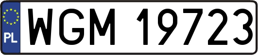 WGM19723
