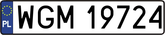 WGM19724