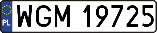 WGM19725