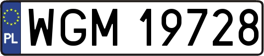 WGM19728