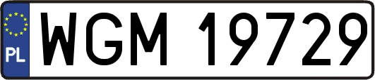 WGM19729