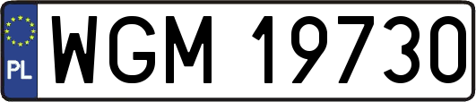 WGM19730