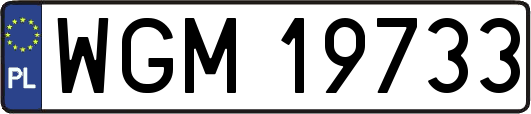 WGM19733