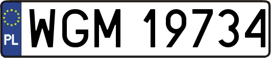 WGM19734
