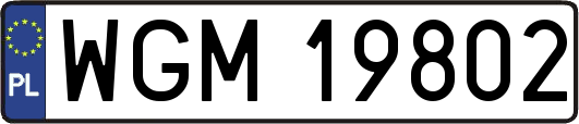 WGM19802