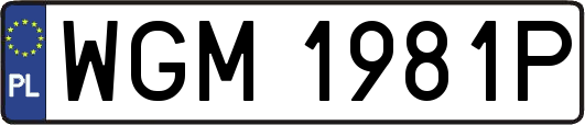 WGM1981P
