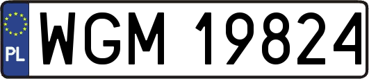 WGM19824