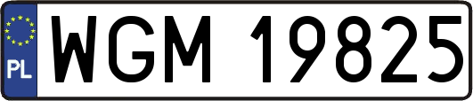 WGM19825