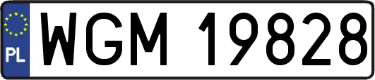 WGM19828