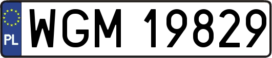 WGM19829