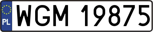 WGM19875