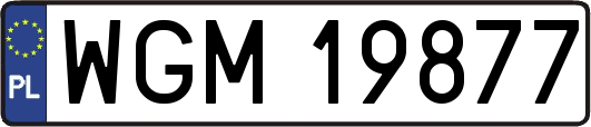 WGM19877