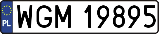 WGM19895