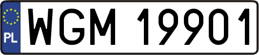 WGM19901