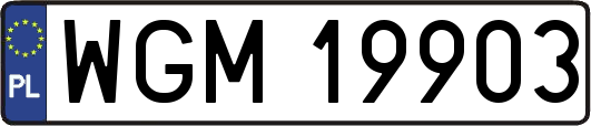 WGM19903