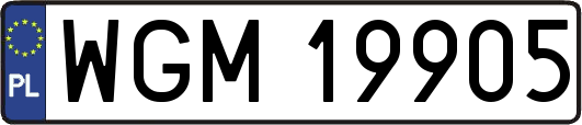 WGM19905