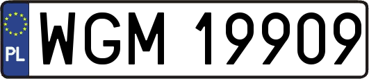 WGM19909