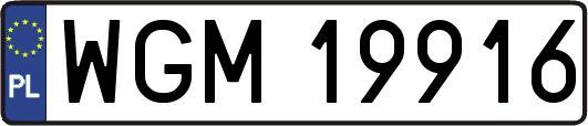 WGM19916