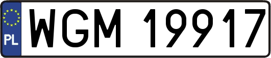 WGM19917