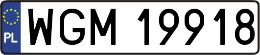 WGM19918