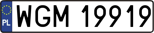 WGM19919