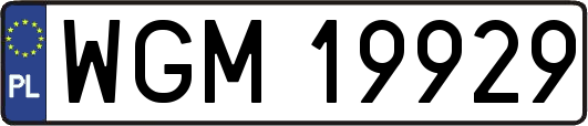 WGM19929