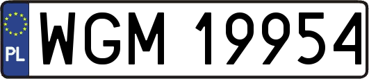 WGM19954