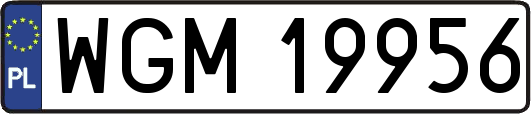 WGM19956