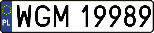 WGM19989