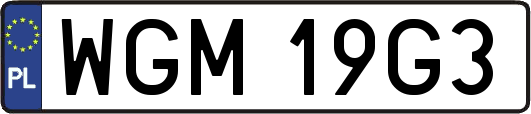WGM19G3