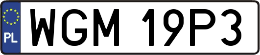 WGM19P3