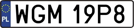 WGM19P8