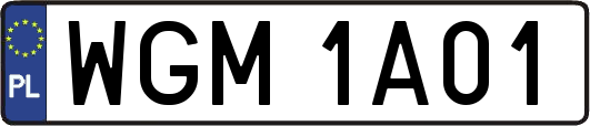 WGM1A01