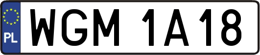 WGM1A18
