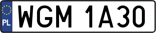 WGM1A30