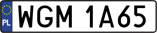 WGM1A65
