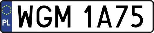 WGM1A75