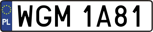 WGM1A81