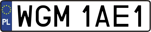 WGM1AE1