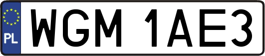 WGM1AE3