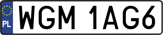 WGM1AG6