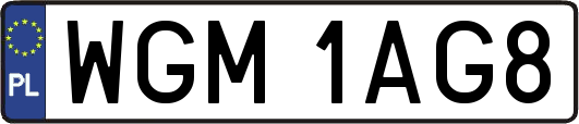 WGM1AG8