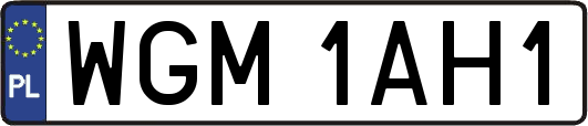 WGM1AH1