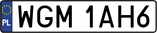 WGM1AH6